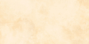 TWU09RCD004 плитка облицовочная Ричард / Richard 249*500 (10 шт в уп/70,965 м в пал)