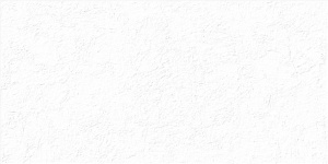 TWU2550MLN10 плитка облицовочная рельефная Miloni 249*500 (9 шт в уп/63.897 м в пал)