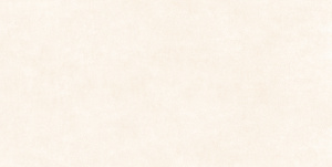 GFU60120BLN04R плитка керамогранитная Берлин / Berlin 600*1200 (2 шт в уп/46.08 м в пал)