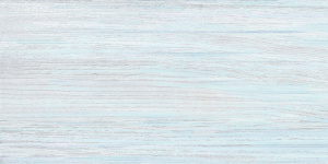 TWU09NRT606 плитка облицовочная North 249*500